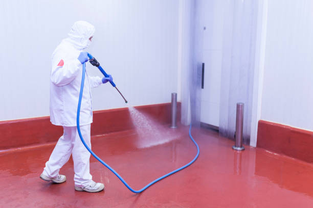 Best Rust Removal  in Blackwell, OK